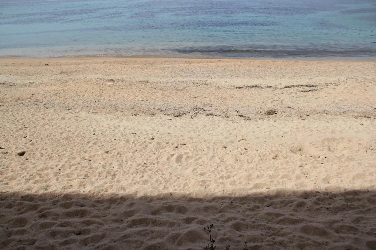 Studio Pieds Dans L'Eau Ajaccio  Kültér fotó